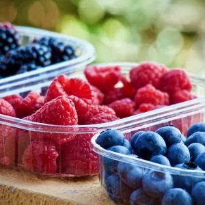 Wholesale fruit punnets