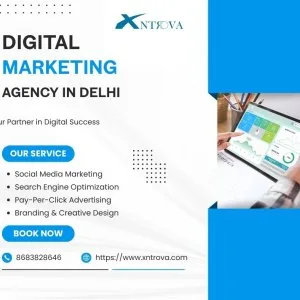 Digital marketing agency delhi