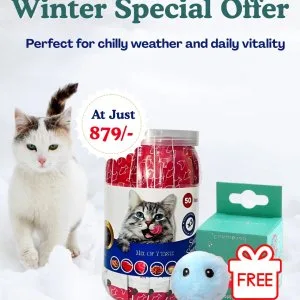 Smooth and savoury cat treats jar for daily rewards