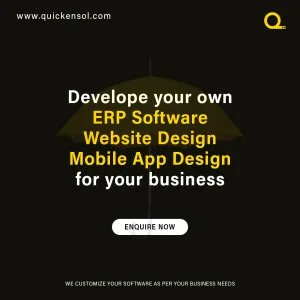 Scale faster with quiclensol custom software solutions