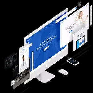 Web development company in pune