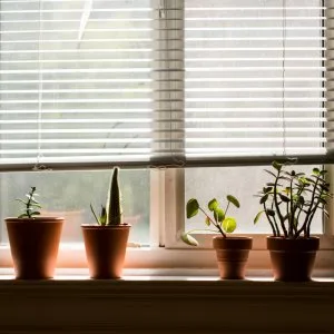 Why choose motorized roller shades manufacturers in mumbai for s