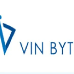Vin bytes - digital transformation & technology consulting