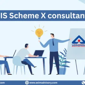 Bis scheme x consultant – expert compliance support