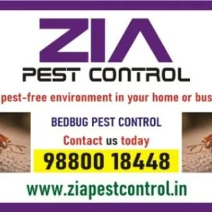 Bed bugs control | bed bugs treatment | bengaluru service provid