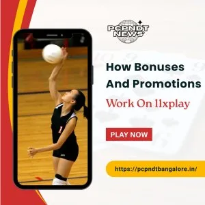 How bonuses and promotions work on 11xplay 1