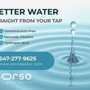 Advanced water filter system – clean, pure water straight from y
