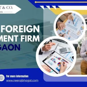 Direct foreign investment firm in gurgaon – rbi, fema & fdi comp