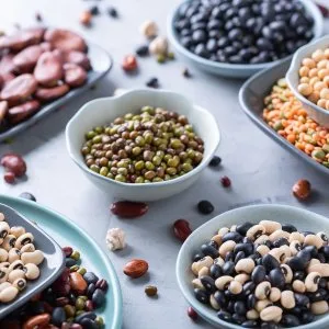 Vegetarian protein sources indian cuisine offers