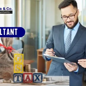 Experienced gst consultant in delhi for accurate timely filing