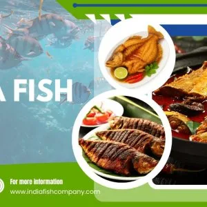 India fish fresh seafood raw fish delivered to your door