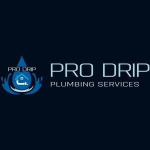Emergency plumber service ambarvale fast 247 response