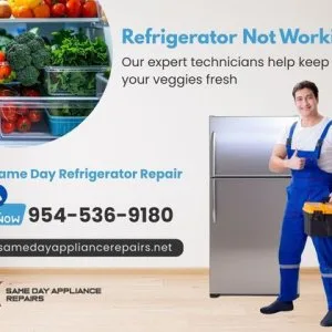 Same day refrigerator repair services