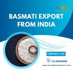 Basmati export from india