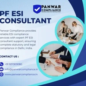 Expert esi compliance pf esi consultant in delhi panwar comp