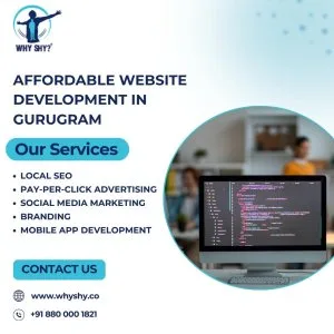 Affordable website development in gurugram why shy