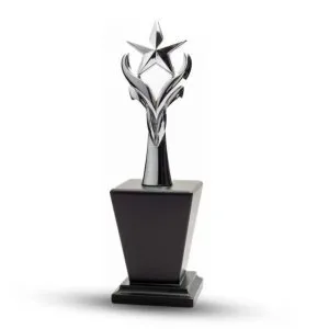 Metal star trophies