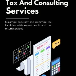 Audit and income tax returns service provider minimise tax