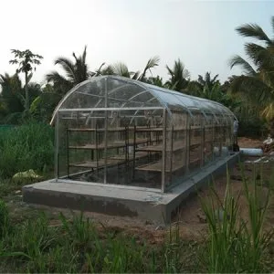 Top solar dryer manufacturer supplier in indore india