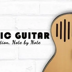 Best semiacoustic guitar for powerful sound smooth performanc