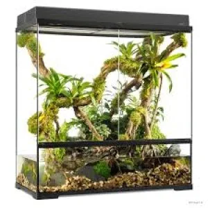 Exo terra glass terrarium reptile habitat enclosure