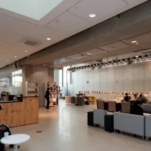 Showrooms and exhibition design service in dubai