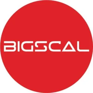 Bigscal Technologies Pvt Ltd