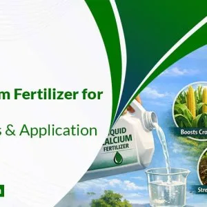 Calcium thiosulphate liquid fertilizer in india imperialagro