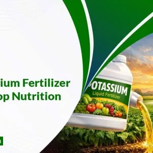 Potassium thiosulphate liquid fertilizer in india imperialagro
