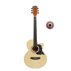 Best guitar under 5000 premium sound stylish design beginne