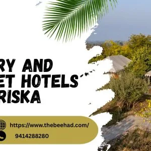 Top luxury and budget hotels in sariska for every traveler