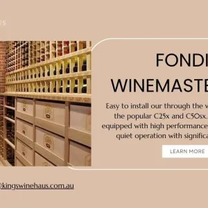 Fondis winemaster c25 smart cooling for wine cellars