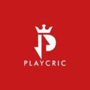 Playcric fast cricket score updates