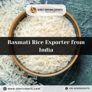 Basmati rice exporter from india shree krishna exports