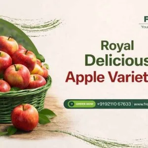 Buy fresh fruits online the easy and smart way to get fresh fr