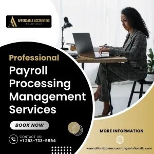 Professional payroll services seattle