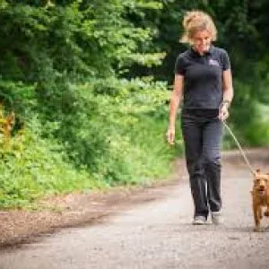 Dog walking boarding in kensington hammersmith