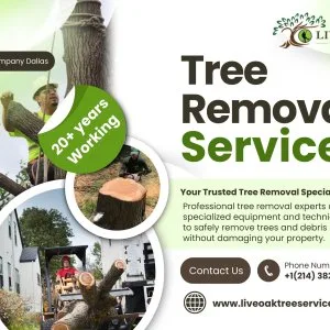 Best tree company dallas tree removal trimming stump
