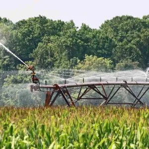 Better water use planning for healthy landscapes