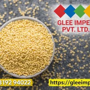 Trusted exporter in india reliable trade india partner for glo
