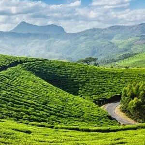 Call odyssey travels now for the best kerala tour deals