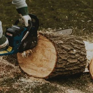 Professional tree removal services safe efficient tree cutti