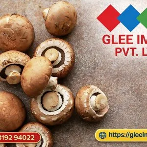 Top mushroom exporter best exporter company in india