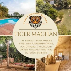 Best ranthambore resort with swimming pool family activities