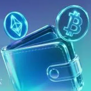 Mobile web crypto wallet app development services
