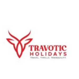 International tour packages