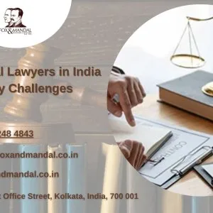 Constitutional lawyers in india for regulatory challenges
