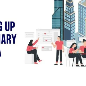 Expand globally with subsidiary setup in india