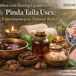 Pinda taila uses natural ayurvedic oil for pain inflammation