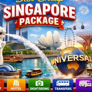 Best cheap singapore package call 91 9090484850